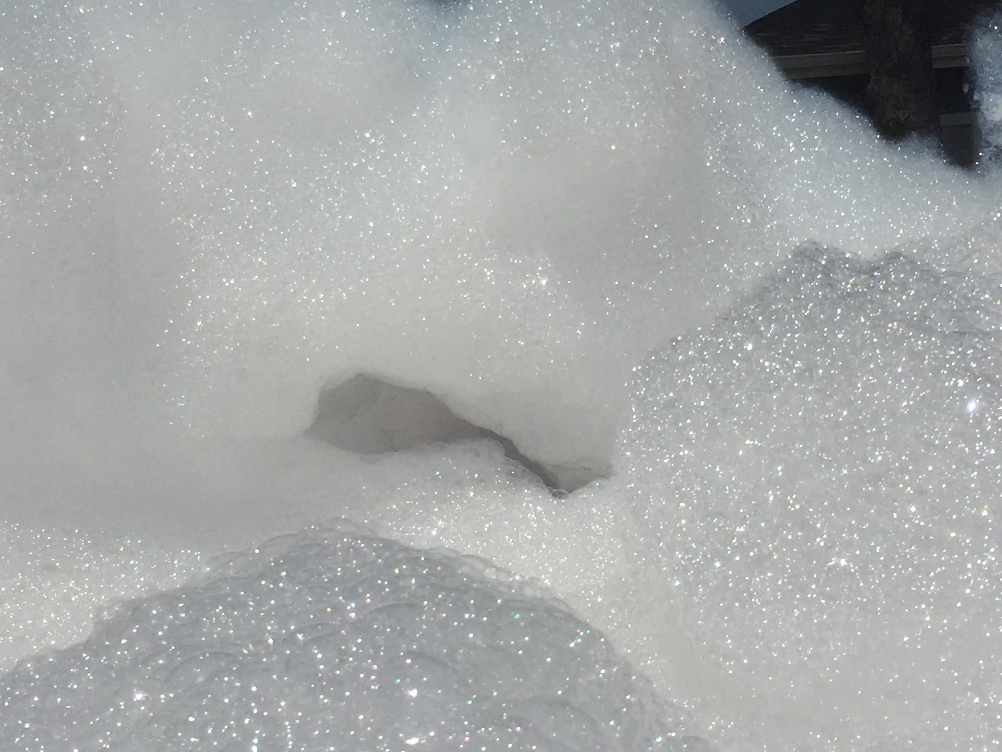 Foam Party Soap - Extra Foamy - Foam Machine Concentrate